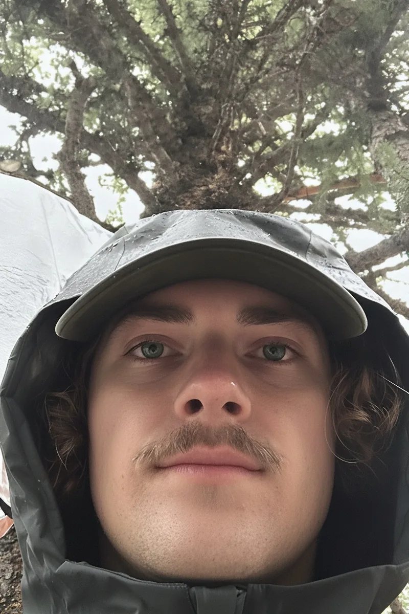 Will